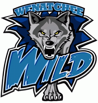 wenatchee wild 2008 09-pres primary logo iron on transfers for clothing